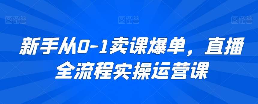 新手从0-1卖课爆单，直播全流程实操运营课-三石资源库