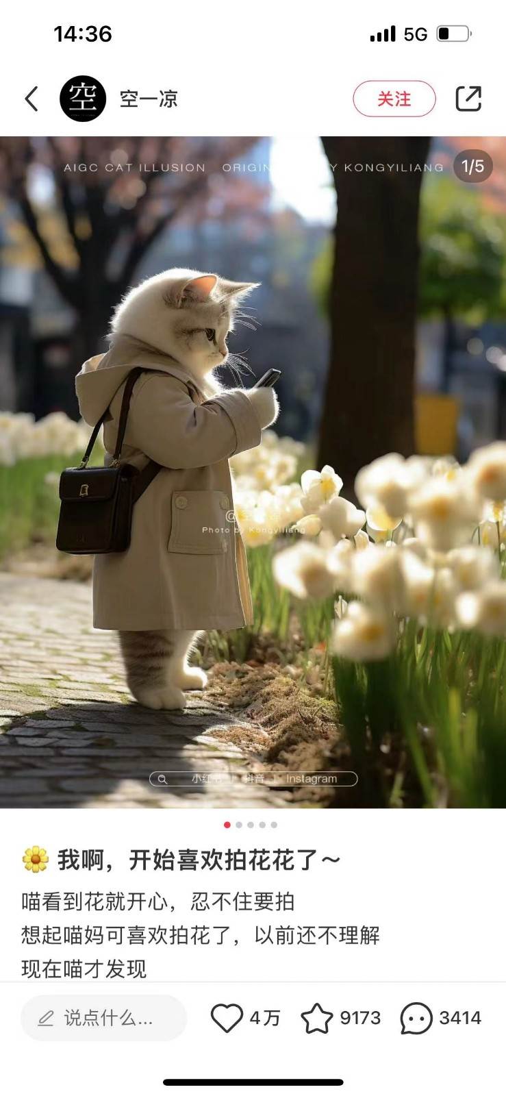 图片[2]-AI猫咪穿搭保姆级教程，起号容易，变现途径多-三石资源库