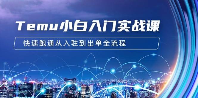 （9295期）Temu小白入门实战课：跨境拼多多电商培训 快速跑通从入驻到出单全流程-12节-三石资源库