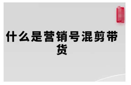营销号混剪带货，从内容创作到流量变现的全流程，教你用营销号形式做混剪带货-三石资源库