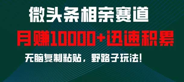 微头条相亲赛道，迅速积累，无脑复制粘贴，野路子玩法，月入1w-三石淘金网