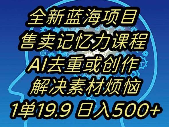 蓝海项目记忆力提升，AI去重，一单19.9日入500+【揭秘】-三石资源库
