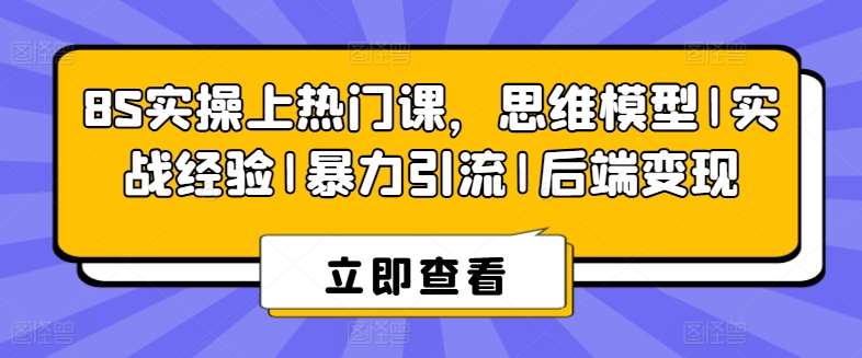 8S实操上热门课，思维模型|实战经验|暴力引流|后端变现-三石资源库