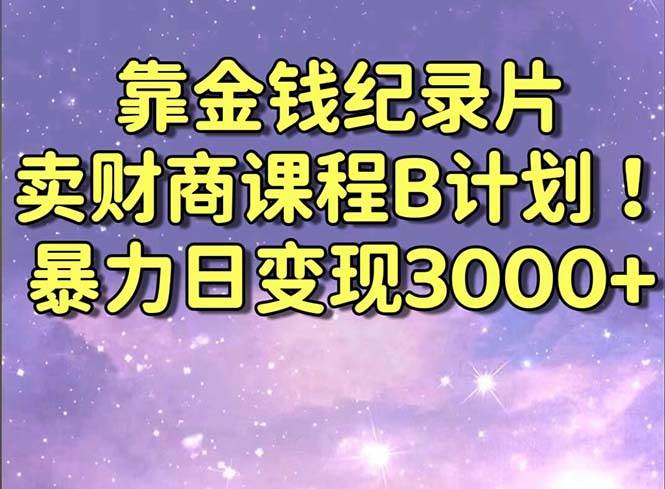 （8944期）靠金钱纪录片卖财商课程B计划！暴力日变现3000+，喂饭式干货教程！-三石资源库