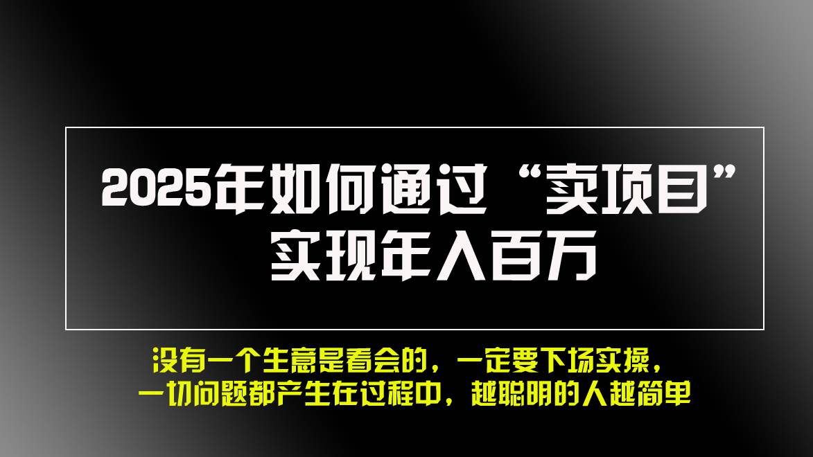 （13468期）2025年如何通过“卖项目”实现年入百万，做网赚必看！！-三石资源库