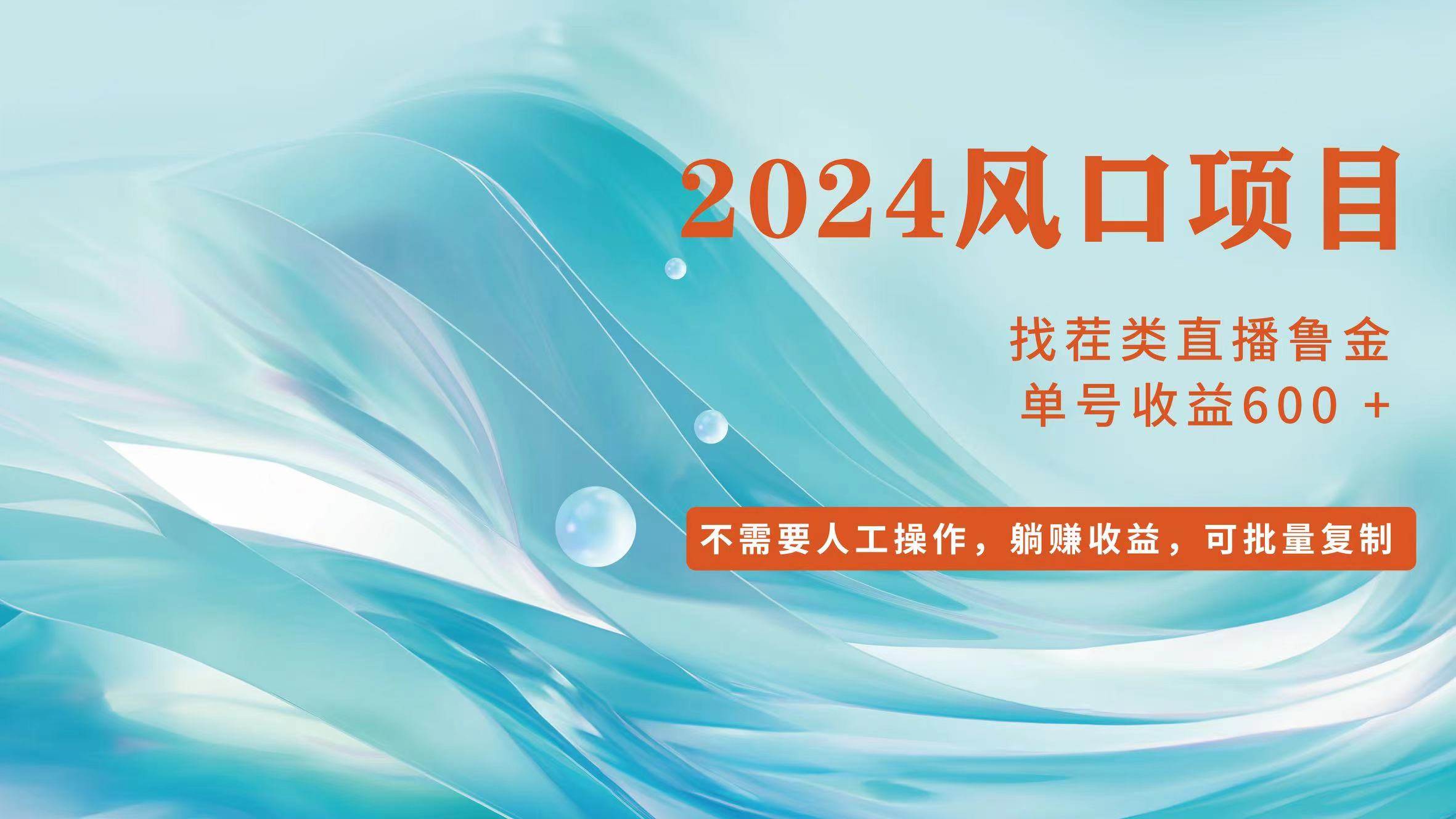 （11868期）小白轻松入手，当天收益600+，可批量可复制-三石资源库