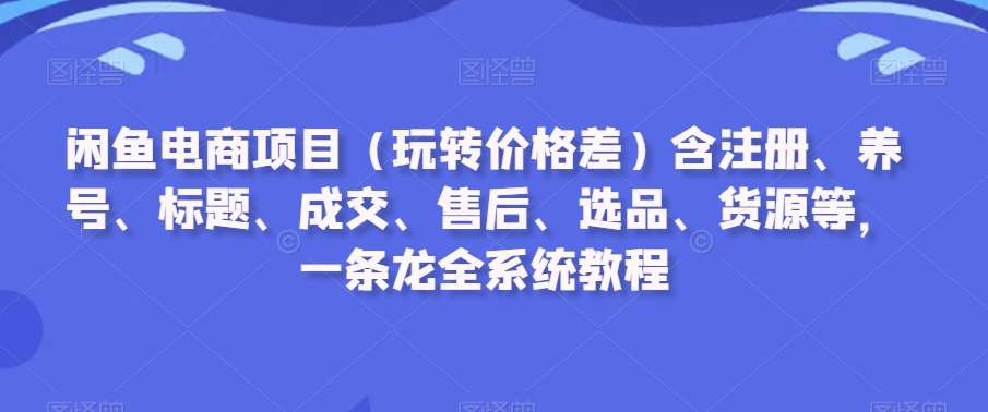 闲鱼电商项目（玩转价格差）含注册、养号、标题、成交、售后、选品、货源等，一条龙全系统教程-三石资源库