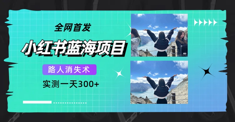 全网首发，小红书蓝海项目，路人消失术，实测一天300+（教程+工具）-三石资源库