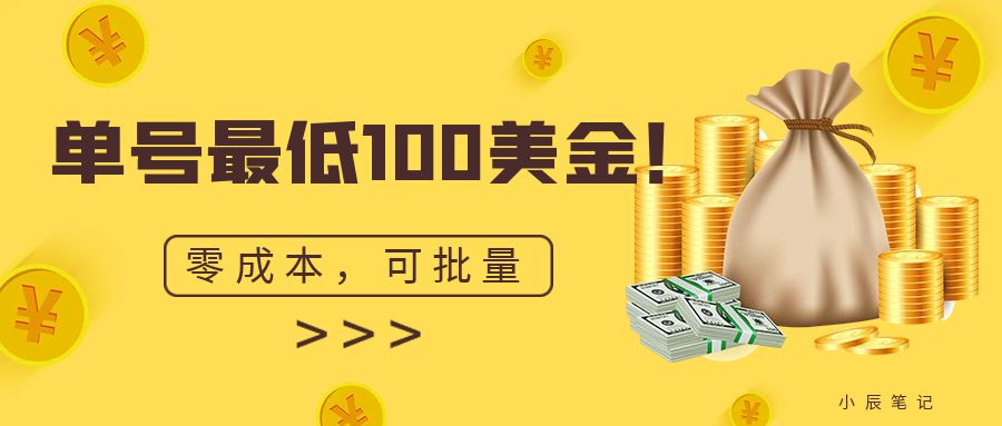 单号最低100美金，零成本，小白无脑操作。可复制，可扩大。-三石淘金网
