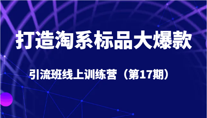打造淘系标品大爆款引流班线上训练营5天直播授课+1个月答疑-三石淘金网