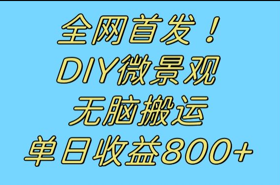 全网首发冷门赛道！DIY微景观，无脑搬运视频，日收益800+-三石资源库