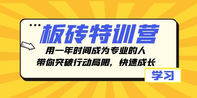 板砖特训营，用一年时间成为专业的人，带你突破行动局限，快速成长-三石淘金网