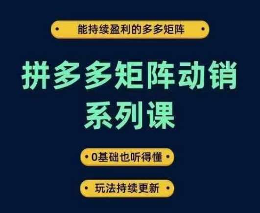 拼多多矩阵动销系列课，能持续盈利的多多矩阵，0基础也听得懂，玩法持续更新-三石资源库