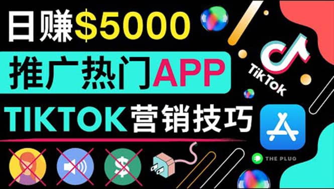 无需露脸，无需录音，无需投资，TIKTOK上传短视频，最高日入5000美元-三石资源库