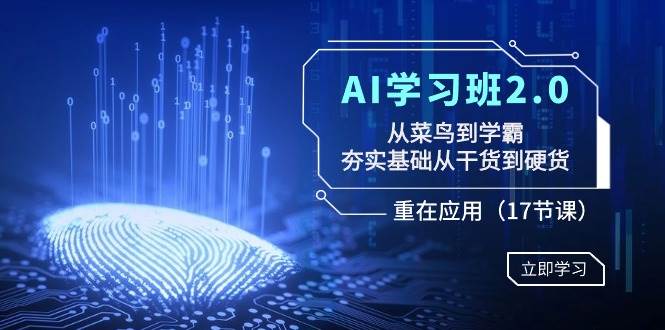 （8964期）AI学习班2.0：从菜鸟到学霸，夯实基础从干货到硬货，重在应用（17节课）-三石资源库