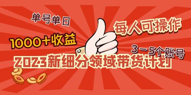 2023新细分领域带货计划：单号单日1000+收益不难，每人可操作3-5个账号-三石资源库