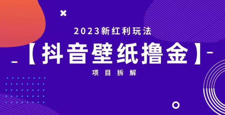 抖音壁纸小程序创作者撸金项目,2023新红利玩法【项目拆解】-三石资源库