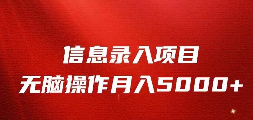 信息录入返佣项目，小白无脑复制粘贴，月入5K+-三石淘金网