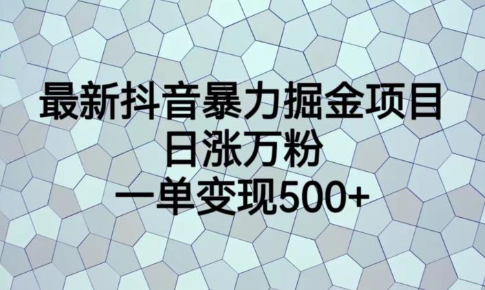 最新抖音暴力掘金项目，日涨万粉，一单变现500+【揭秘】-三石资源库