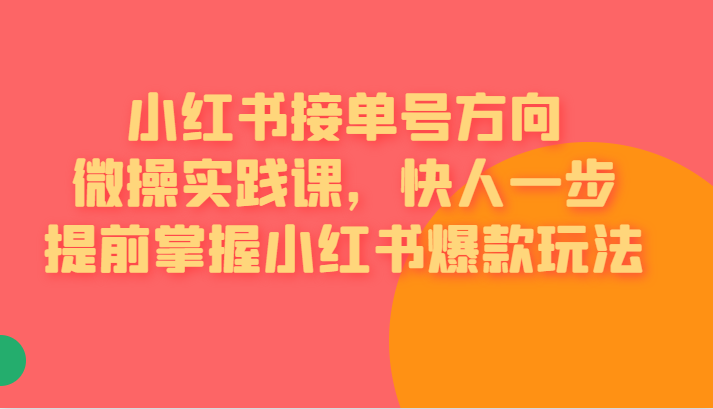 红书接单号方向微操实践课，快人一步提前掌握小红书爆款玩法-三石淘金网