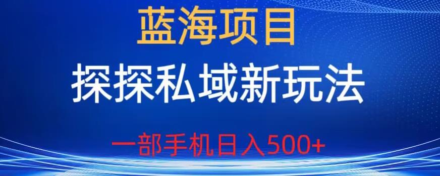 蓝海项目，探探私域新玩法，一部手机日入500+很轻松【揭秘】-三石资源库