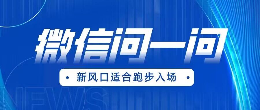 全网首发微信问一问新风口变现项目（价值1999元）-三石淘金网