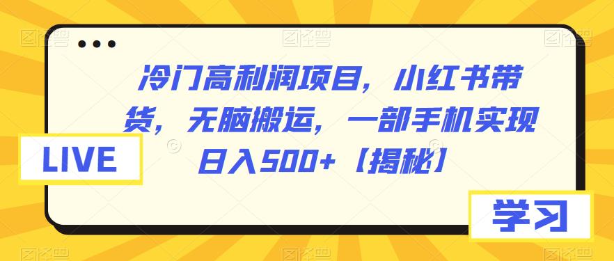 冷门高利润项目，小红书带货，无脑搬运，一部手机实现日入500+【揭秘】-三石淘金网