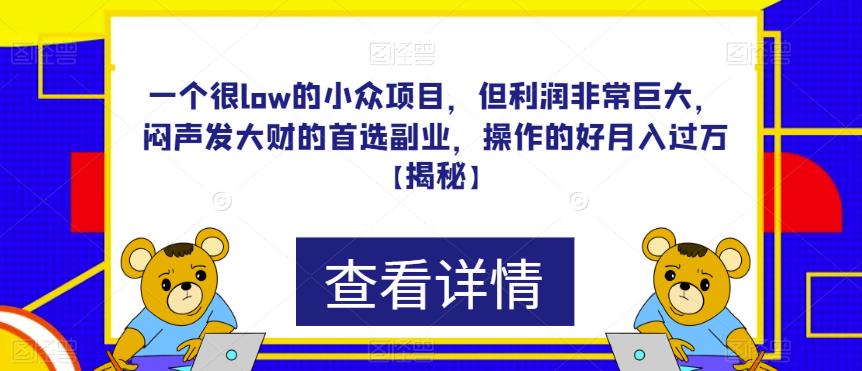 一个很low的小众项目，但利润非常巨大，闷声发大财的首选副业，操作的好月入过万【揭秘】-三石资源库