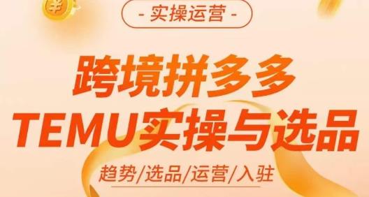 伍跃·跨境拼多多TEMU实操与选品，​趋势/选品/运营/入住（27节完整）-三石资源库