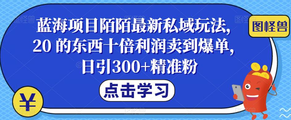 蓝海项目陌陌最新私域玩法，20 的东西十倍利润卖到爆单，日引300+精准粉【揭秘】-三石资源库
