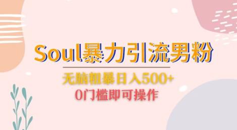 Soul暴力引流男粉玩法，无脑粗暴日入500＋，0门槛即可操作【揭秘】-三石资源库