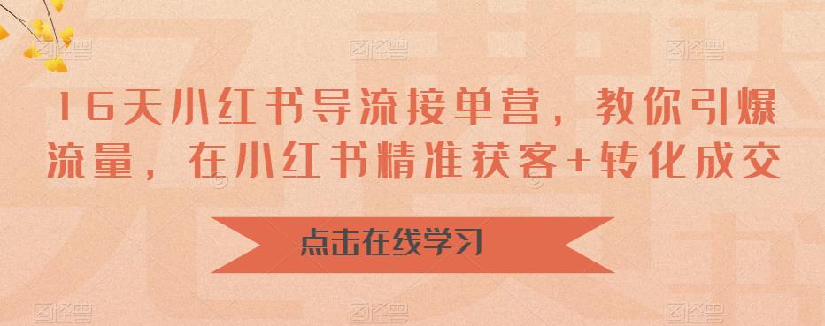 16天小红书导流接单营，教你引爆流量，在小红书精准获客+转化成交-三石资源库