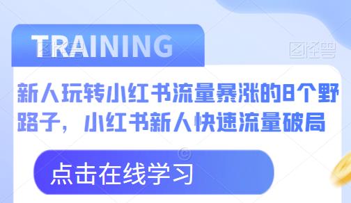 新人玩转小红书流量暴涨的8个野路子，小红书新人快速流量破局-三石资源库