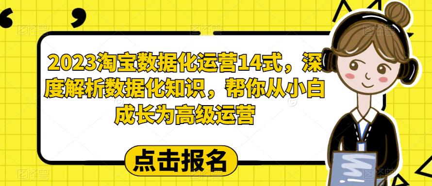 2023淘宝数据化运营14式，深度解析数据化知识，帮你从小白成长为高级运营-三石资源库