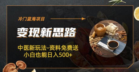 冷门蓝海项目-中医新玩法-资料免费送小白也能日入500+【揭秘】-三石淘金网