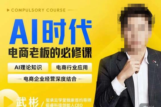 玺承·AI时代，电商老板的必修课，理论+实操+工具，驱动电商销售转化-三石资源库