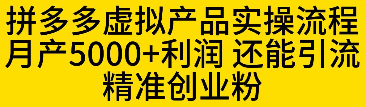 拼多多虚拟产品实操流程，月产5000+利润，还能引流精准创业粉【揭秘】-三石资源库