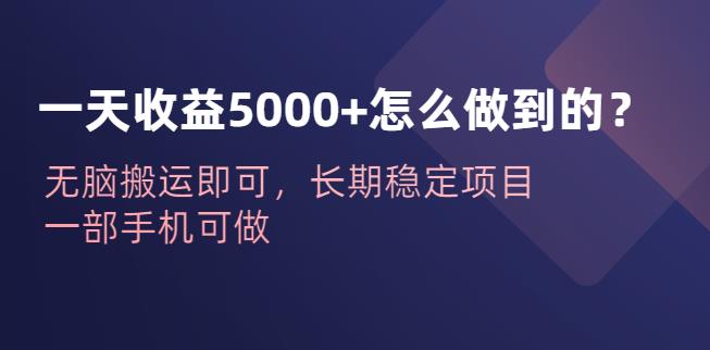 一天收益5000+怎么做到的？无脑搬运即可，长期稳定项目，一部手机可做【揭秘】-三石资源库