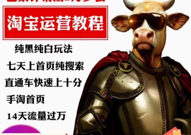 猫老师·淘系算法逆向解密,纯黑纯白玩法,七天上首页纯搜索,手淘首页14天流量过万-三石资源库