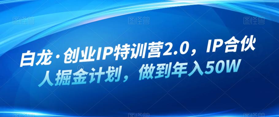 白龙·创业IP特训营2.0，IP合伙人掘金计划，做到年入50W-三石淘金网