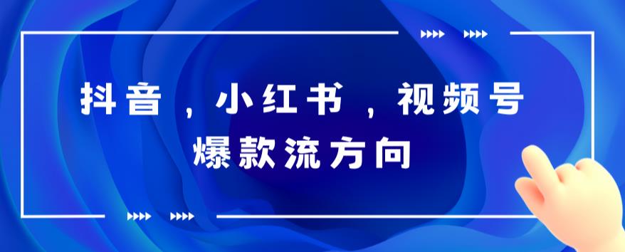 抖音，小红书，视频号爆款流视频制作，简单制作掌握流量密码-三石资源库