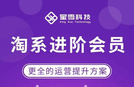 星雪·淘系进阶课程，快速提升突破技能流量瓶颈必备（更新2023年5月）-三石资源库