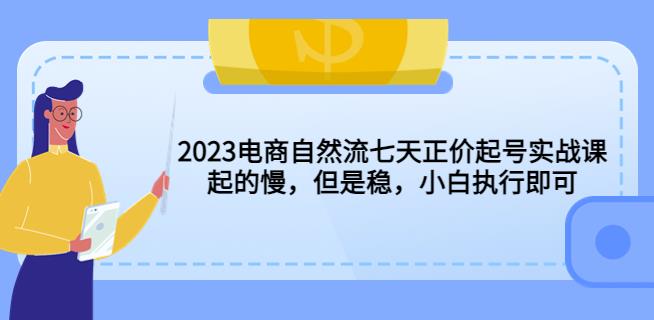 2023电商自然流七天正价起号实战课：起的慢，但是稳，小白执行即可！-三石资源库