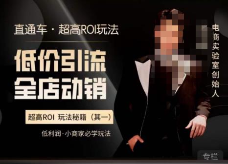 电商冰可乐·直通车·《低价引流·全店动销》，直通车·超高ROI玩法（其一）全店动销必学玩法-三石淘金网