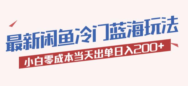 2023最新闲鱼冷门蓝海玩法，小白零成本当天出单日入200+【揭秘】-三石资源库