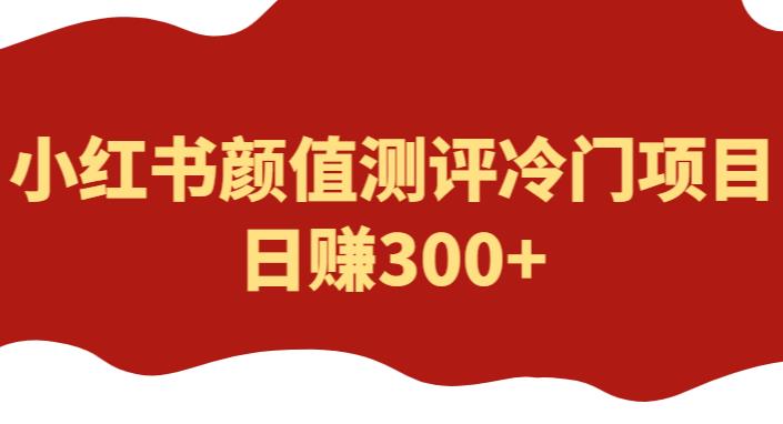 外面1980的项目，小红书颜值测评冷门项目，日赚300+【揭秘】-三石资源库