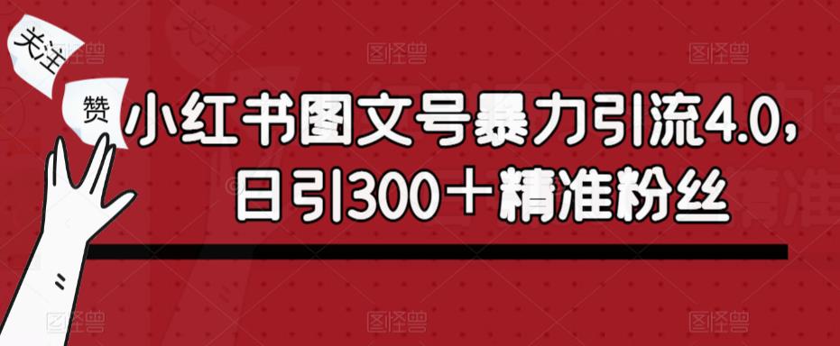 小红书图文号暴力引流4.0,日引300+精准粉丝【揭秘】-三石资源库