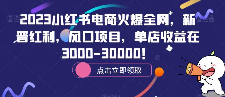 2023小红书电商火爆全网,新晋红利,风口项目,单店收益在3000-30000!-三石资源库