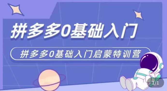 拼多多运营0-1实操特训营，拼多多0基础入门，从基础到进阶的可实操玩法-三石资源库