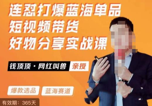 网红叫兽·连怼打爆蓝海单品，短视频带货好物分享实战课-三石资源库